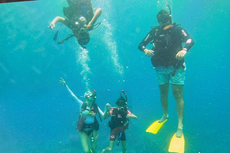 Private: Catamaran Adventure &amp; Beach BBQ at Catalina Island