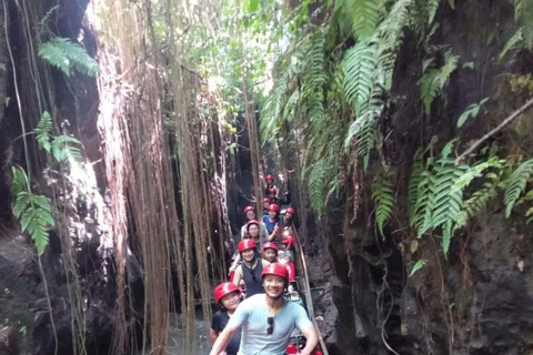 Ubud: Best of ATV Quad Bike Adventure Tandem & Single Ride with private transfer