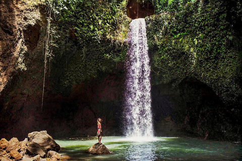 Ubud: tour de las epectaculares cascadasTour de cascadas con arrozal y columpio en la selva