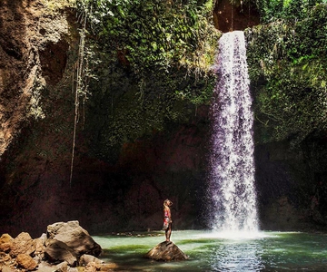 Ubud: Spectacular Waterfalls Tour