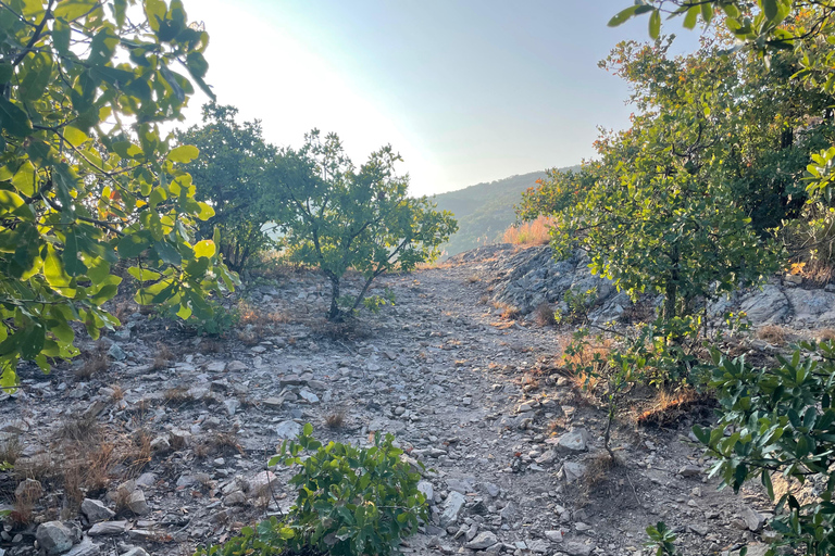 25 Min. from Oaxaca: A Scenic Hike Above the Central Valleys
