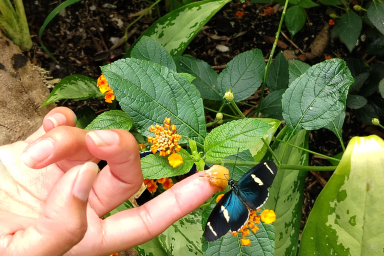 Quito: Waterfall, Hummingbirds, Butterfly Tour, Equator line