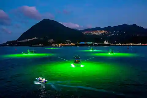 Maiton Private Island Night Squid Fishing & Small Game