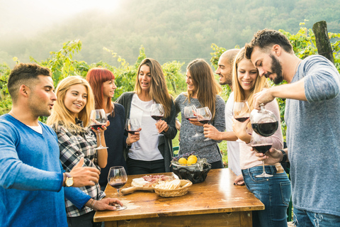 Valle del Cisne: Por la Tarde Cata de Vinos con AlmuerzoTarde indulgente en el Valle del Cisne