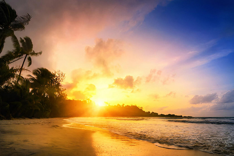 Punta Cana: Ausritt bei Sonnenuntergang am Strand und im Wald von Macao