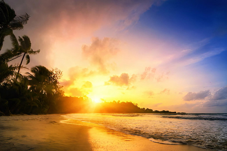 Punta Cana: Ausritt bei Sonnenuntergang am Strand und im Wald von Macao