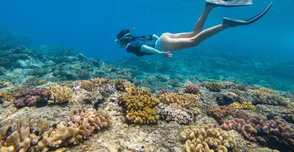 From Fajardo: All-Inclusive Boat and Snorkeling in Culebra Island