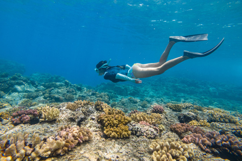 From Fajardo: Boat and Snorkeling in Culebra Island with All-Inclusive From Fajardo: All-Inclusive Snorkeling in Culebra