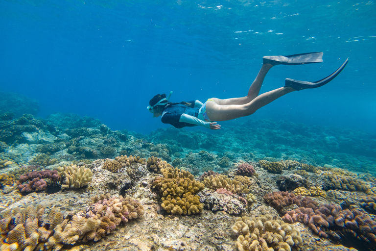 From Fajardo: Boat and Snorkeling in Culebra Island with All-Inclusive From Fajardo: All-Inclusive Snorkeling in Culebra