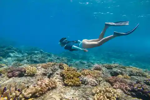 Da Fajardo: catamarano e snorkeling a Isla Culebra con tutto incluso
