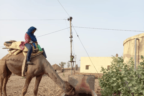 Jodhpur Kameltur med övernattning i Jodhpuröknen