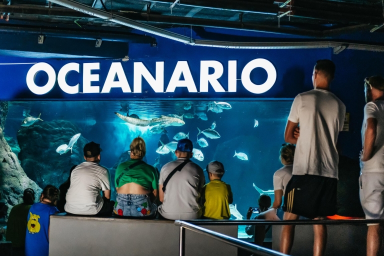 Lanzarote: Aquarium-Eintrittskarte