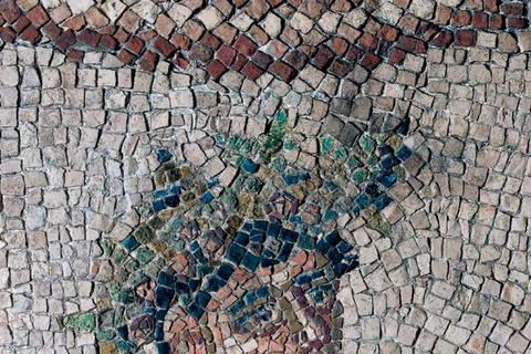 Domus Tappeti di Pietra Entry Ticket