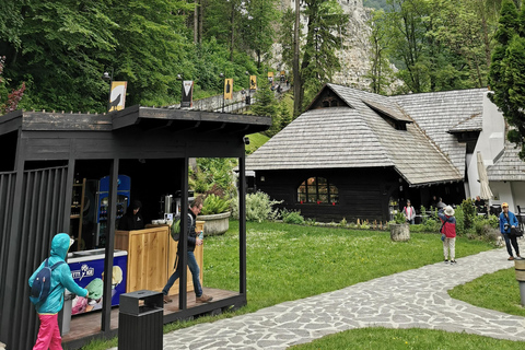 Slănic Salt Mine & Bran Castle Day Trip from Bucharest