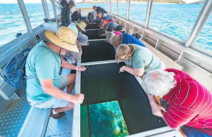 Rosslyn: Great Keppel Island Glass Bottom Boat Tour