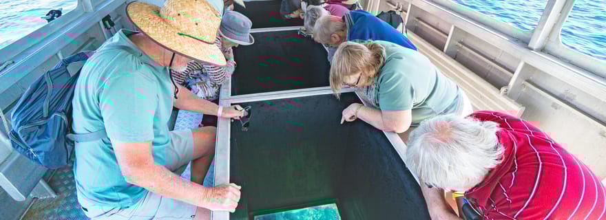 Rosslyn : Grand tour en bateau à fond de verre sur l'île de Keppel