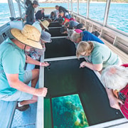Rosslyn: Great Keppel Island Glass Bottom Boat Tour