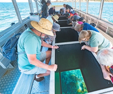 Rosslyn : Grand tour en bateau à fond de verre sur l'île de Keppel