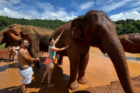 Chiang Mai : Sanctuaire des éléphants, sentier des moines et visite du Doi SuthepPrise en charge en hôtel à Chiang Mai Center