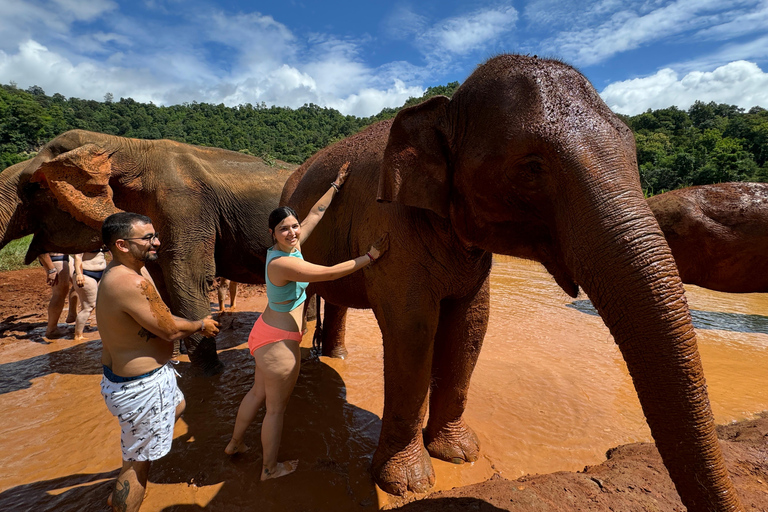 Chiang Mai : Sanctuaire des éléphants, sentier des moines et visite du Doi SuthepPrise en charge en hôtel à Chiang Mai Center