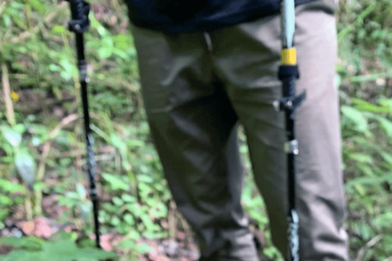 San Cristóbal de las Casas: Hiking on Huitepec Volcano