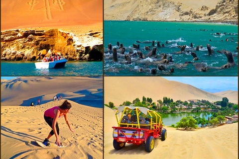 Ab Lima: Ganztagestour (Paracas + Huacachina)