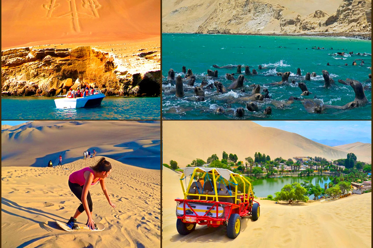 From Lima: Full Day Tour (Paracas + Huacachina)