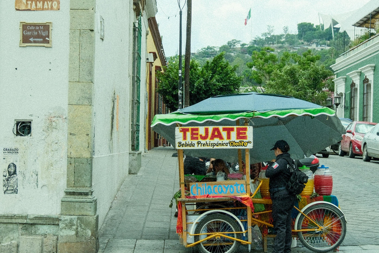 The Hidden Oaxaca: Rebels, Teachers & the 2006 Uprising
