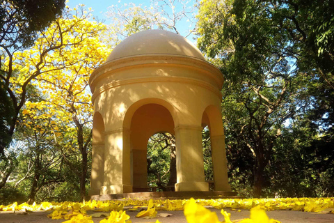 From Galle/Mirissa/Hikkaduwa: Kandy Day Tour with Pickup