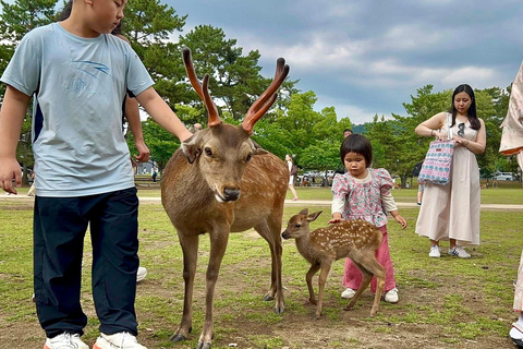 كيوتو/نارا: جولة عائلية ممتعة وثقافية بالسيارة مع خدمة التوصيل من الفندق