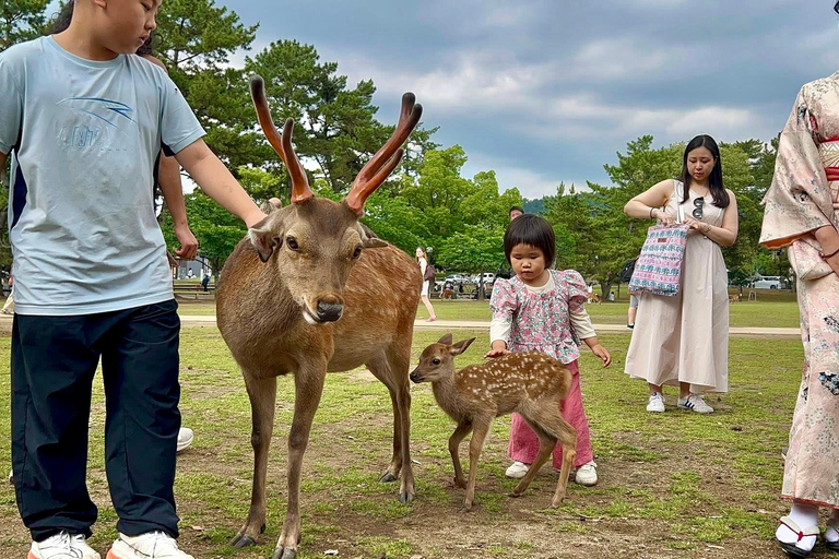 كيوتو/نارا: جولة عائلية ممتعة وثقافية بالسيارة مع خدمة التوصيل من الفندق