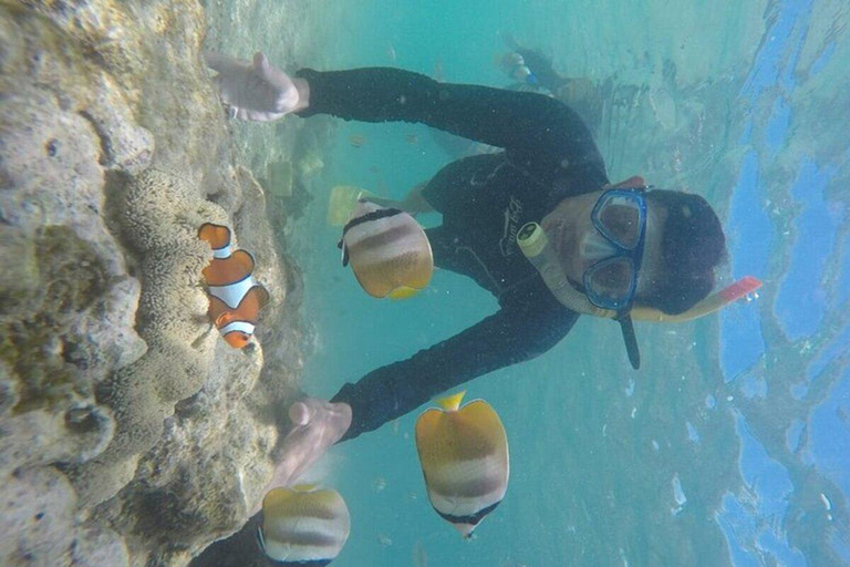 Lombok: Gili Nanggu, Tangkong, Sudak, and Kedis Islands Tour