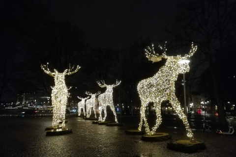 Stockholm : Traditions et dégustations de Noël en petit groupe