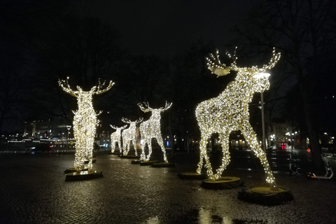 Estocolmo: Tradiciones y Degustaciones Navideñas Excursión en Grupo Reducido