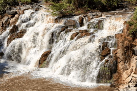 From Addis Ababa: 3-Day Awash Game Drive Safari Tour 3 Days Awash NP Game drive Safrai Tour