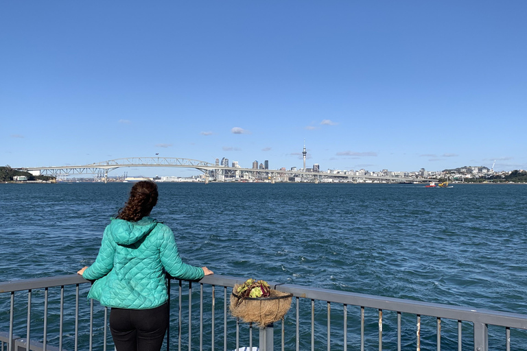 Auckland: Urban Rainforest Half-Day Small Group Walking Tour