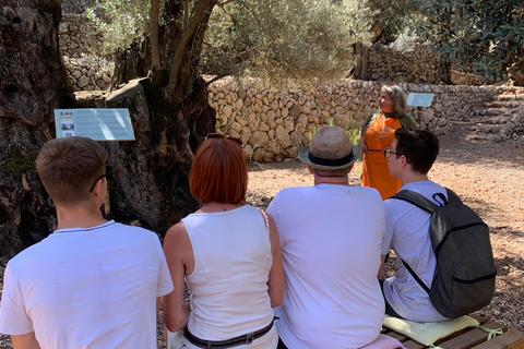 A cidade de Fornalutx e as caminhadas até à quinta de oliveiras da montanha