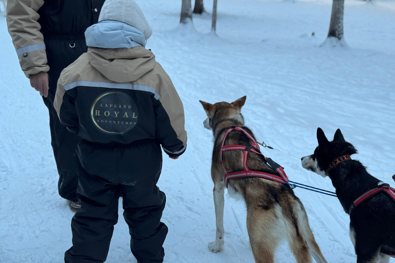Rovaniemi: Lapland Wilderness Husky Safari 7,5 km