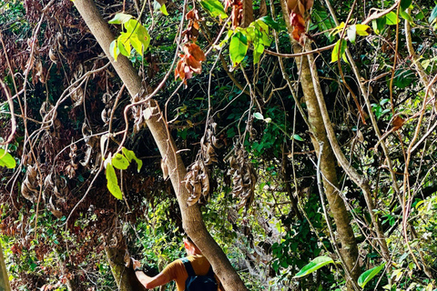 2-tägige Ha Long Bay Island Cruise Tour mit einem 3-Sterne-Kreuzfahrtschiff