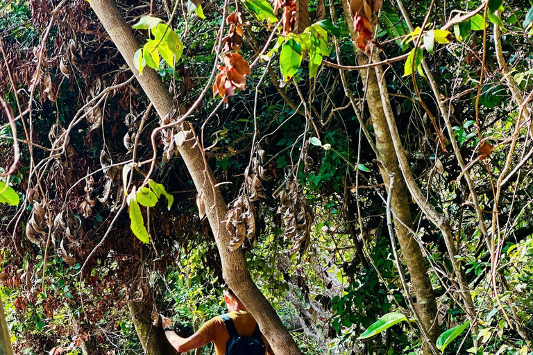 2-tägige Ha Long Bay Island Cruise Tour mit einem 3-Sterne-Kreuzfahrtschiff