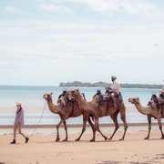 Darwin: Beach Day Camel Ride