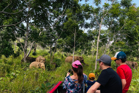 Minneriya National Park: Elephant Watching Safari with Guide Minneriya National Park: Sunrise Elephant Safari with Guide