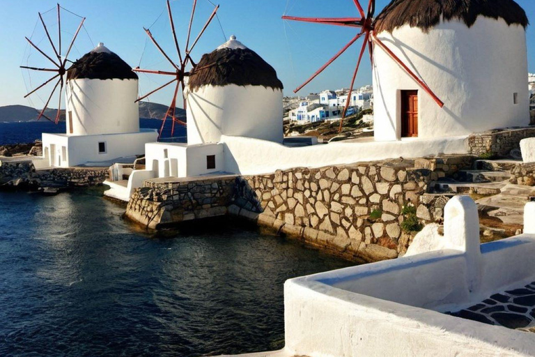 Visite privée de l&#039;île de Mykonos et déjeuner/dîner grec (inclus)