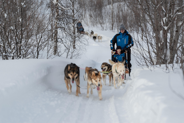 Tromsø: Easy Dog Sledding Tour & Kennel Visit