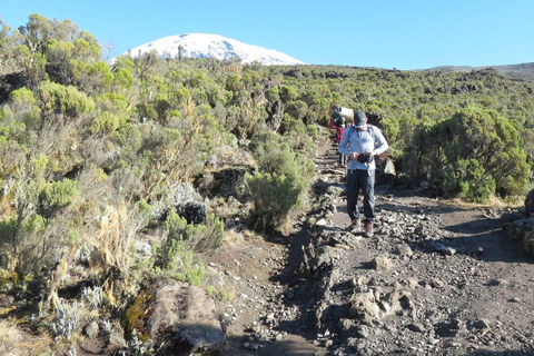 Arusha National Park Half Day Safari With Walking Tour