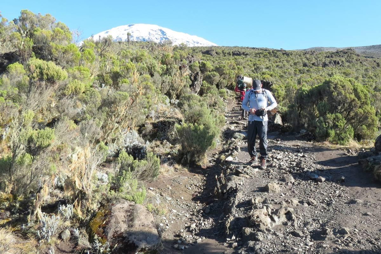 Arusha National Park Half Day Safari With Walking Tour