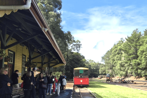 Pemberton: Iconic Heritage Tram Tour One Way Tram Tour