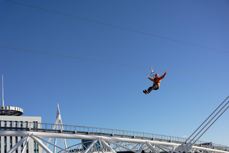 Cardiff: Principality Stadium Zip Line Adult or Child