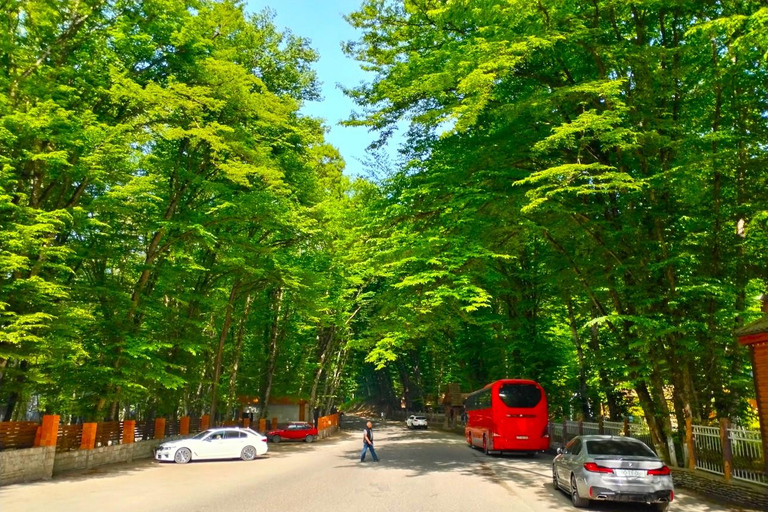 A Private Shahdag Day Tour