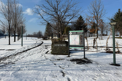 Asahikawa,Biei and Furano Wonderland day Tour in small group Itinerary C: Fairy Terrace Illumination Exclusive Tour